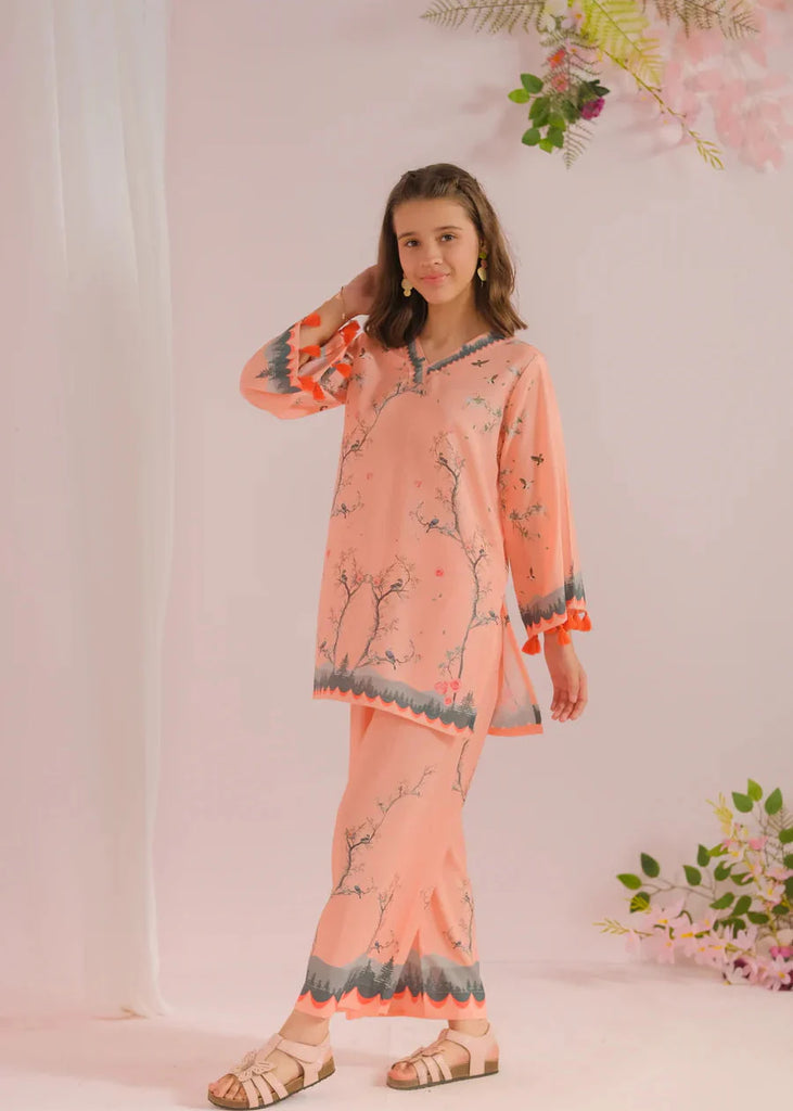 Floral Fantasy - 2pcs (Premium Khaddar Mid - Season Fabric)