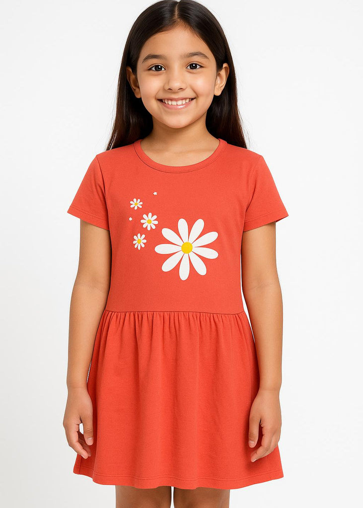 Daisy Bloom Frock